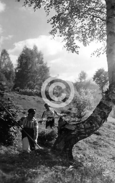 Women working at harvest time, Bistrita Valley, Moldavia, north-east Romania, c1920-c1945. Artist: Adolph Chevalier