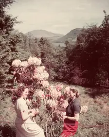 Women with rhododendrons, Derwentwater, Lake District, c1955. Creator: Arthur Charles Kirby Ware