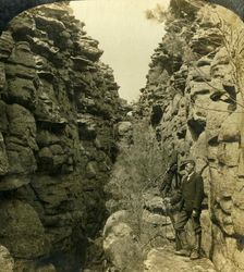 Wonderland Avenue, or the Silent Street, Grampians, Victoria, Australia 1908. Creator: George Rose