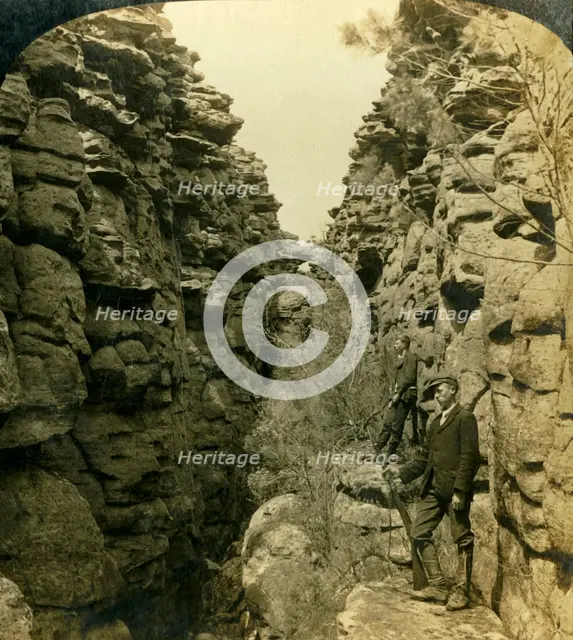 'Wonderland Avenue, or the Silent Street, Grampians, Victoria, Australia', 1908.  Creator: George Rose.