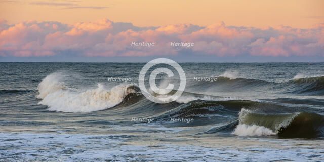 Wondrous Sea. Creator: Eve Turek.