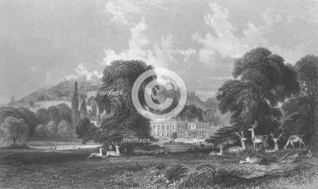'Wonersh Park', c1845. Creator: E Radclyffe.