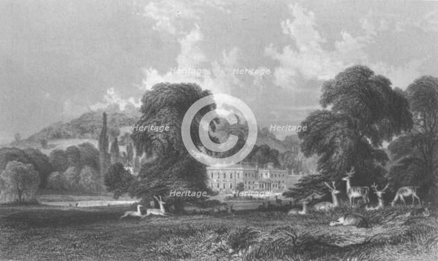 'Wonersh Park', c1845. Creator: E Radclyffe.