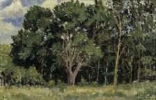 Wood, 1919. Creator: Alfred William Finch