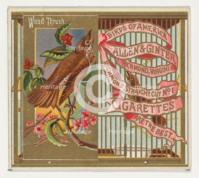 Wood Thrush, from the Birds of America series (N37) for Allen & Ginter Cigarettes, 1888. Creator: Allen & Ginter.