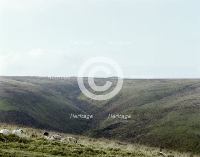 Wood Barrow, Exmoor, Somerset, 1999. Artist: EH/RCHME staff photographer