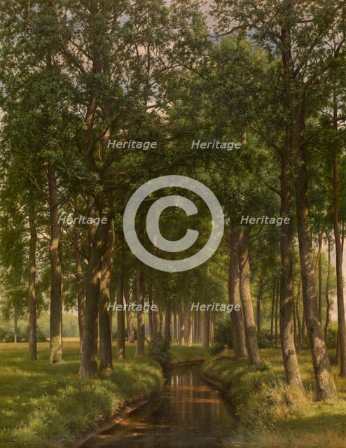 Wood Bathing in Sunshine, late 19th-early 20th century. Creator: Alfred Elsen.