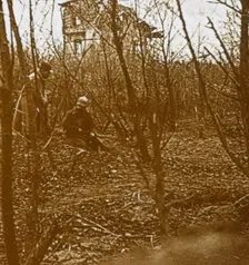 Wood, c1914-c1918