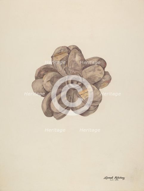Wood Carving - Flower, c. 1939. Creator: Lionel Ritchey.
