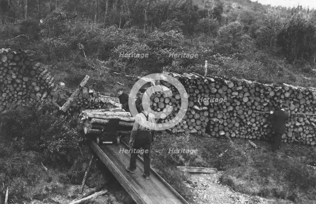 Wood chopper's station with fuel for steamers on the Upper Yukon, between c1900 and c1930. Creator: Unknown.
