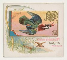 Wood Duck, from the Game Birds series (N40) for Allen & Ginter Cigarettes, 1888-90. Creator: Allen & Ginter