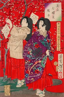 Wood for the Plum Tree, 1878. Creator: Tsukioka Yoshitoshi