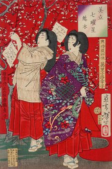 Wood for the Plum Tree, 1878. Creator: Tsukioka Yoshitoshi