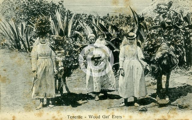 Wood gatherers, Tenerife, Canary Islands, early 20th century(?). Artist: Unknown
