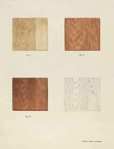 Wood Grain (Demo.), 1935/1942. Creator: Harry Mann Waddell