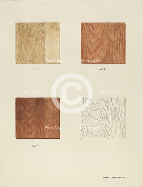 Wood Grain (Demo.), 1935/1942. Creator: Harry Mann Waddell.
