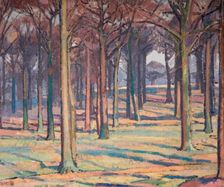 Wood in Richmond Park, 1914. Creator: Spencer Gore