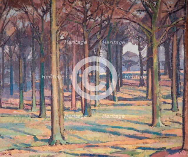 Wood in Richmond Park, 1914. Creator: Spencer Gore.