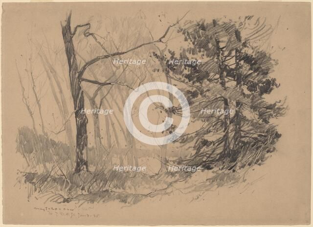 Wood Interior, 1920. Creator: Charles Herbert Woodbury.