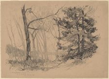 Wood Interior, 1920. Creator: Charles Herbert Woodbury