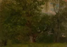 Wood near Ulefoss, 1848. Creator: Herman August Cappelen