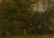 Wood near Ulefoss, 1848. Creator: Herman August Cappelen