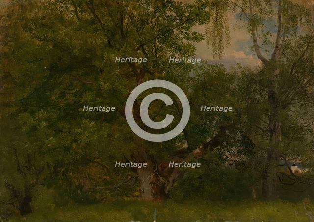 Wood near Ulefoss, 1848. Creator: Herman August Cappelen.