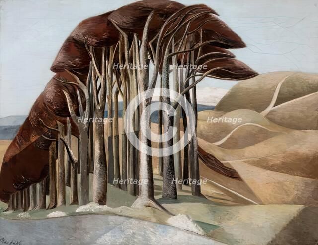 Wood on the Downs, 1929. Creator: Paul Nash.