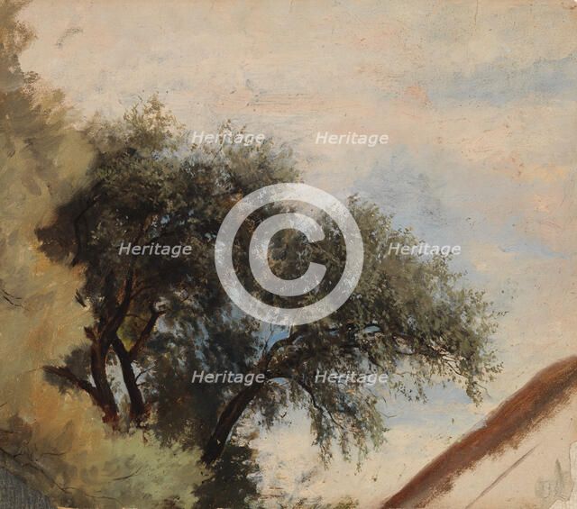 Wood practice. Creator: Berndt Lindholm.