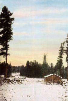 Wood Storage Barn. Zimov'evsko-Meshchaninovskaia Railroad, 1906-1908. Creator: Dorozhno-Stroitel'nyi Otdel