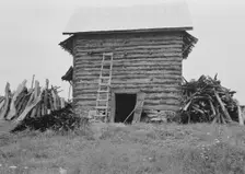 Wood stacked up preliminary to firing the tobacco, Person County, North Carolina, 1939. Creator: Dorothea Lange
