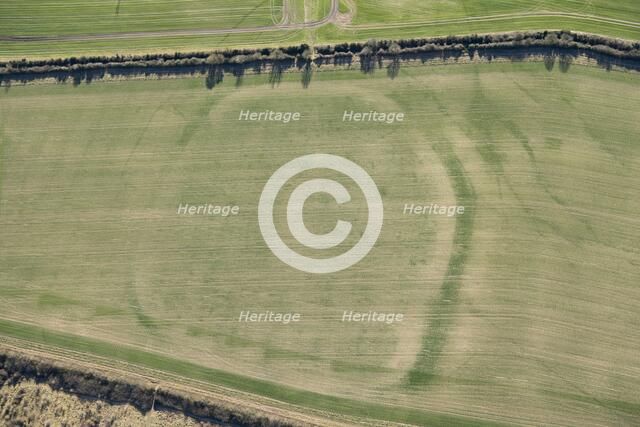 Woodbury Iron Age univallate hillfort crop mark, Salisbury, Wiltshire, 2018. Creator: Historic England Staff Photographer.