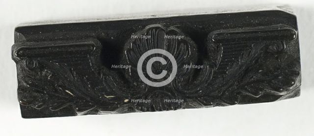 Woodblock for Shell and Shelf, n.d. Creator: Thomas Bewick.