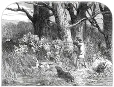 Woodcock Shooting, 1850. Creator: Unknown