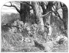 Woodcock Shooting, 1850. Creator: Unknown