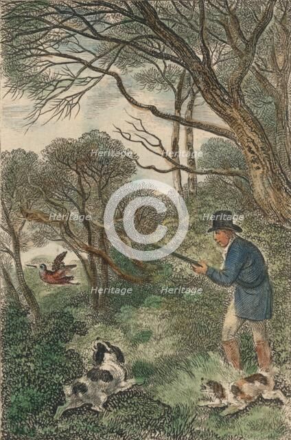 'Woodcock Shooting', 1819. Creator: Samuel Howitt.