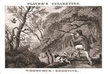 Woodcock-Shooting (1924). Creator: Unknown