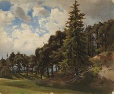 Wooded mountainside. Creator: Johan Knutson