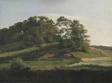 Wooded Hills at Sorupvang, 1841. Creator: Johan Thomas Lundbye