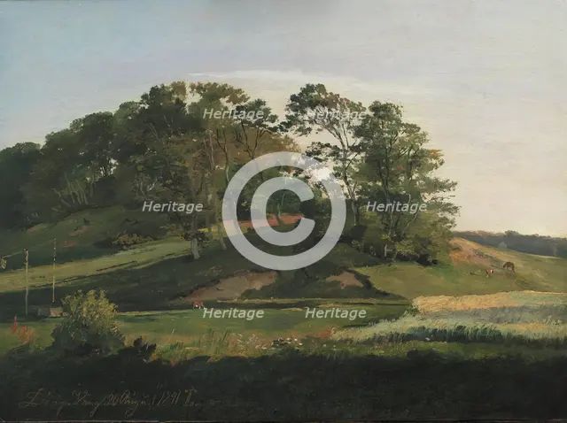 Wooded Hills at Sorupvang, 1841. Creator: Johan Thomas Lundbye.