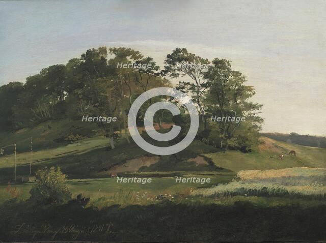 Wooded Hills at Sorupvang, 1841. Creator: Johan Thomas Lundbye.