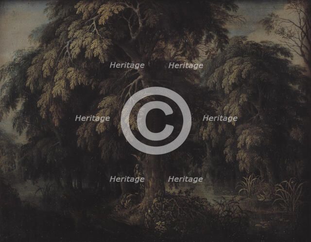 Wooded Landscape, 1615-1620. Creator: Alexander Keirincx.