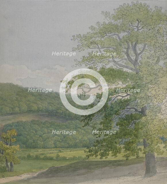 Wooded landscape, 1790s-1820s. Creator: John White Abbott.