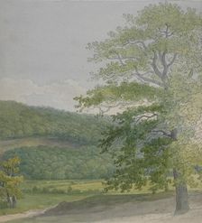 Wooded landscape, 1790s-1820s. Creator: John White Abbott