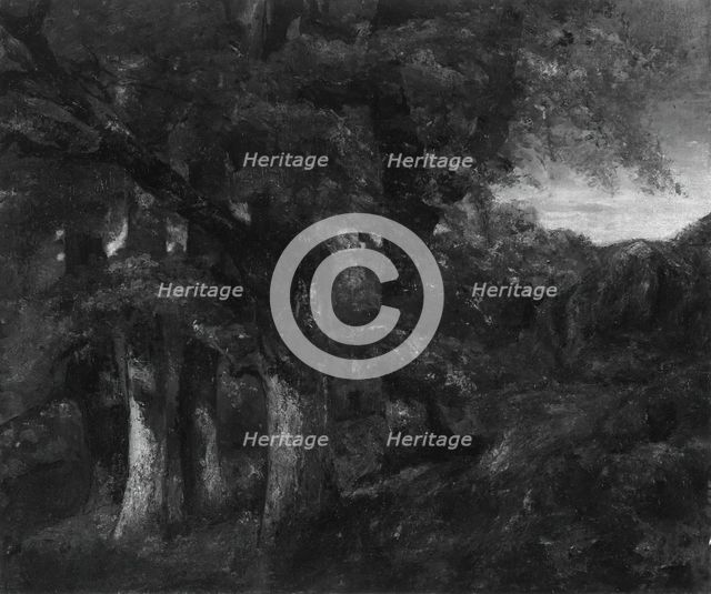 Wooded Landscape, 1819/77. Creator: Gustave Courbet.