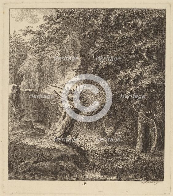 Wooded Landscape with a Pollarded Tree, 1764. Creator: Salomon Gessner.