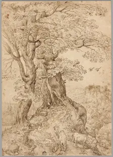 Wooded Landscape with Donkeys and Goats, and Castle on Hill in Distance, n.d. Creator: Unknown