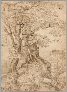 Wooded Landscape with Donkeys and Goats, and Castle on Hill in Distance, n.d. Creator: Unknown