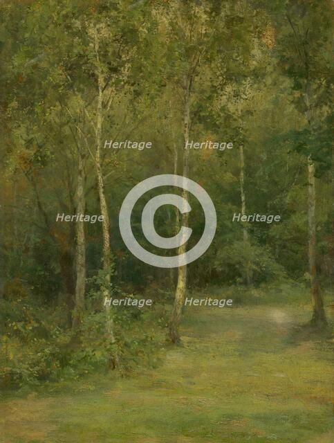 Wooded Landscape with Little Birches, 1894-1896. Creator: Ludovit Cordak.