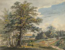 Wooded Landscape with Stag, 1800-1877. Creator: Carl August Lebschee